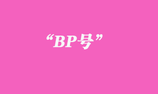 BP号