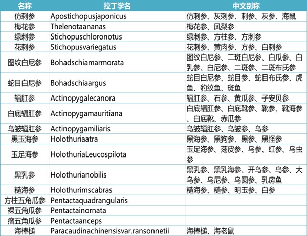 海参进口报关代理