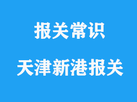 天津新港報關(guān)代理公司