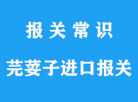 芫荽子進(jìn)口報(bào)關(guān)流程，芫荽子進(jìn)口報(bào)關(guān)資質(zhì)公司