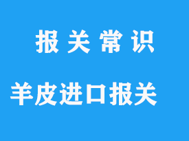 羊皮進(jìn)口報(bào)關(guān)清關(guān)操作手續(xù)流程