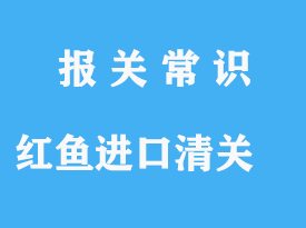 印尼紅魚進(jìn)口清關(guān),這些手續(xù)你應(yīng)該知道