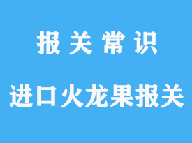 越南進(jìn)口火龍果報(bào)關(guān)手續(xù)與流程詳解