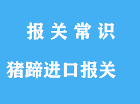 豬蹄進(jìn)口報(bào)關(guān)手續(xù)港口操作指南