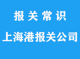 上海报关公司：专业服务助力企业全球化之路