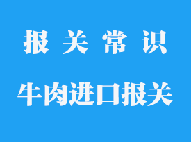 探秘清关公司：助力企业海外通行无忧