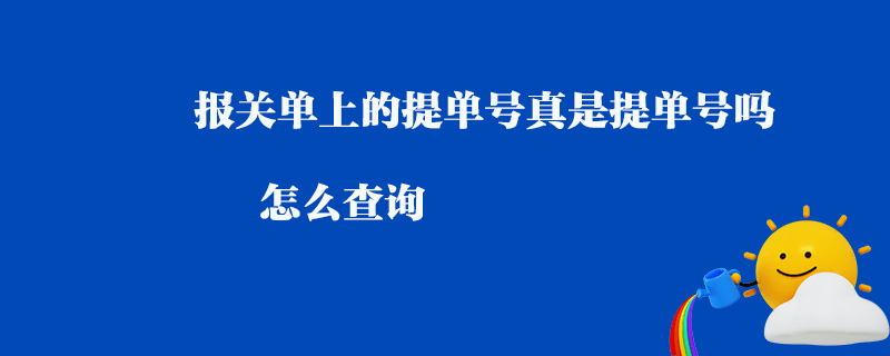 報(bào)關(guān)單上的提單號(hào)真是提單號(hào)嗎怎么查詢