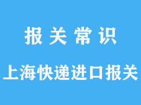 了解进口报关代理流程，顺利处理您的进口手续