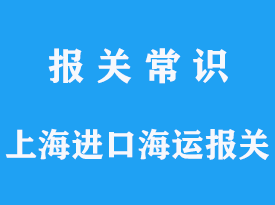 个人物品海运出国国内有哪些集运公司