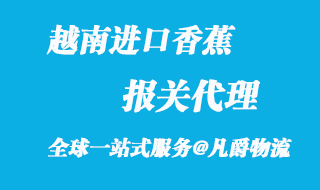 越南进口香蕉报关代理