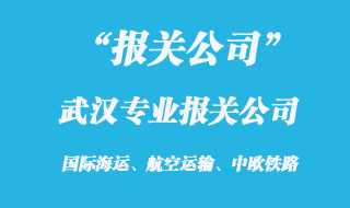 武汉专业报关公司