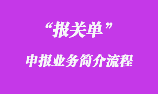 申報業(yè)務簡介流程