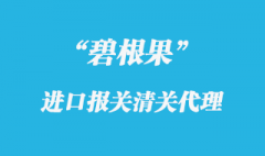 進(jìn)口碧根果上海報(bào)關(guān)有哪些流程-知識分享