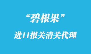 碧根果进口报关代理