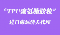 TPU聚氨脂膠粒進口海運清關(guān)代理