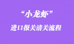 國(guó)外小龍蝦代理進(jìn)口報(bào)關(guān)報(bào)檢操作