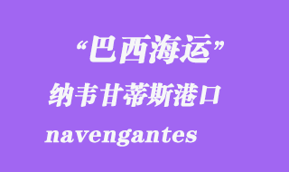 纳韦甘蒂斯（navengantes）港口