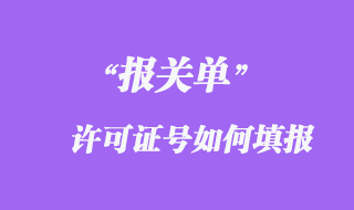 报关单许可证号如何填报