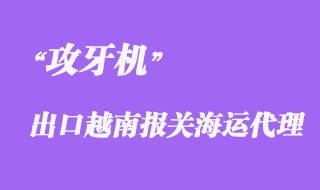 畅游全球，掌握出口大门——一般货物出口基本业务流程