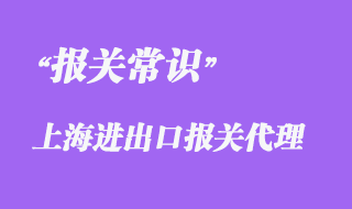 上海进出口报关代理