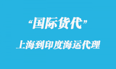 上海到印度海运物流公司有哪些？