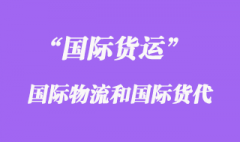 国际物流和国际货运代理的区别有那些？