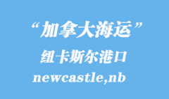 加拿大海运港口：纽卡斯尔（newcastle,nb）港口