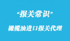 橄榄油进口报关代理