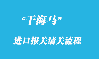 干海马进口报关清关流程