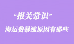 國際海運(yùn)費(fèi)暴漲原因有那些