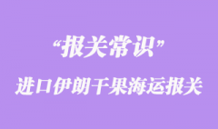 進(jìn)口伊朗干果海運(yùn)報關(guān)貨運(yùn)代理操作流程