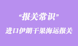 进口伊朗干果海运报关货运代理操作流程