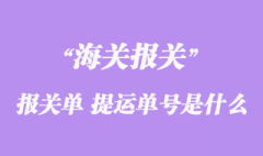 進(jìn)出口貨物報(bào)關(guān)單“提運(yùn)單號(hào)”是什么