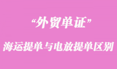 海運提單與電放提單的區(qū)別