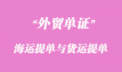 海運提單與貨運提單