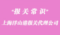 上海洋山港报关代理公司_18年经验