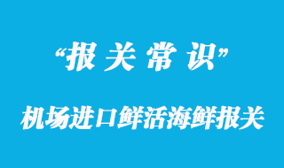 机场进口鲜活海鲜报关流程