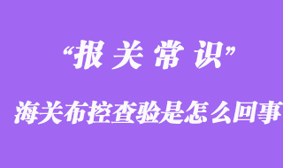 进出口清关货物海关布控查验是怎么回事