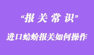 进口蛤蚧报关如何操作？