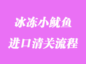 美國冰凍小魷魚進口清關流程