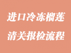 进口冷冻榴莲报关程序详解