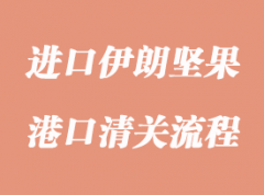 进口伊朗坚果清关货运代理