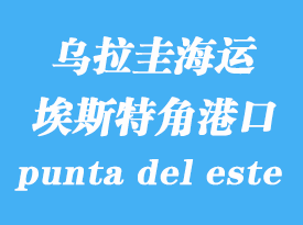 乌拉圭海运港口：埃斯特角（punta del este）港口