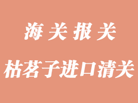 枯茗子进口清关报检清关流程