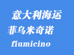 意大利海运港口：菲乌米奇诺（fiumicino）港口