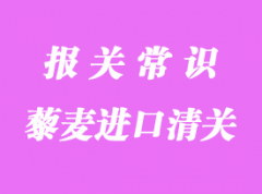 藜麥進口清關(guān)經(jīng)驗分享_上海代理藜麥進口清關(guān)流程