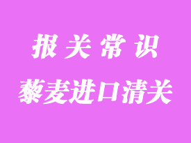 藜麦进口清关经验分享_上海代理藜麦进口清关流程