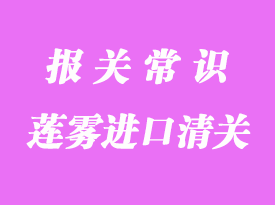 莲雾进口清关报关流程