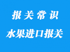 越南水果進(jìn)口報關(guān)具體操作流程以及清關(guān)要點