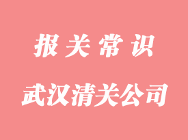 武汉清关公司代理有哪些?哪家比较好